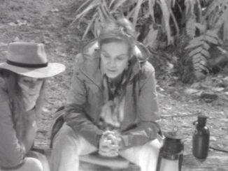 #ibes2020: Die Bombe tickt weiter