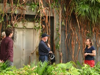 #ibes2020: Es ist passiert! Danni Büchner ruft „Ich bin ein Star – Holt mich hier raus!“ bei der Dschungelprüfung: null Sterne!