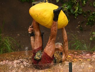 #ibes2020: „Übung macht den Meister“: Flirtend, schreiend, quiekend holt sich Prince Damien vier Sterne!