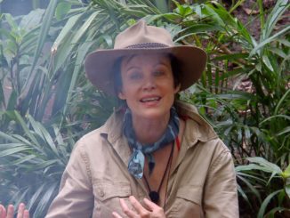 #ibes2020: Die Konkurrenz wächst