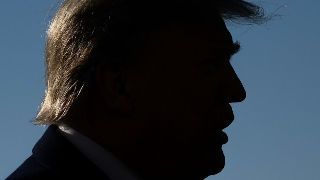 Donald Trump - Bild: AFP via glomex