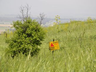 Landminenverbot aufgehoben