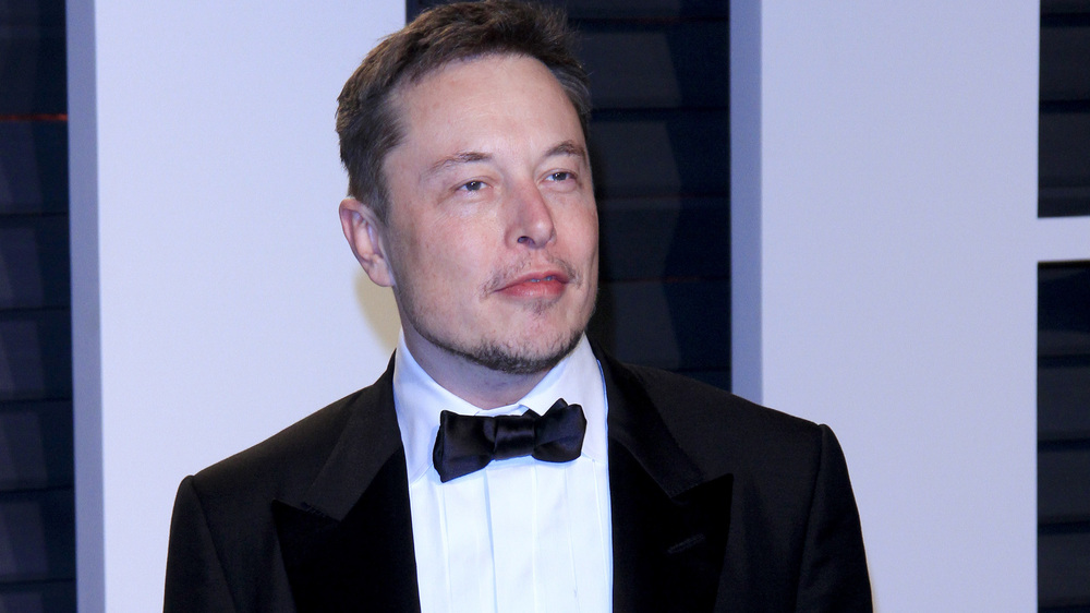 Elon Musk - Kathy Hutchins / Shutterstock.com