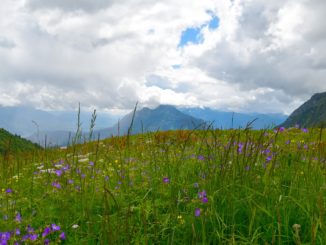 Bergsteiger stürzen in französischen Alpen in den Tod!
