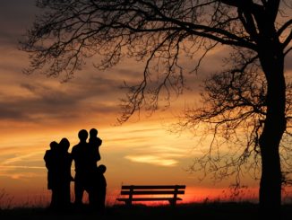 Anteil der Stiefkindadoptionen steigt – Gesamtzahl der Adoptionen jedoch rückläufig