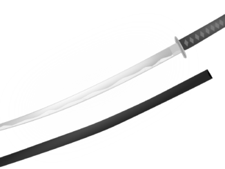 Mordurteil nach Attacke mit Samuraischwert in Stuttgart rechtskräftig