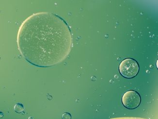 Syrien: Nach dem Krieg die Ölpest