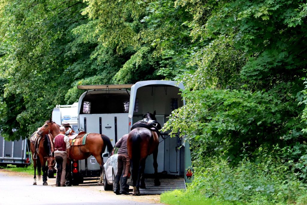 24-Jährige verliert auf Autobahn Pferd aus Anhänger – Tier stirbt