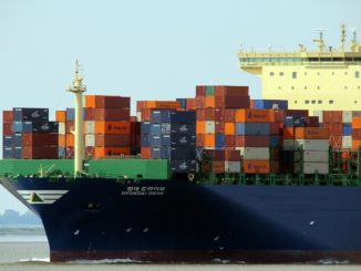 Frachter mit 43 Besatzungsmitgliedern und 6000 Kühen an Bord vor Japan gesunken