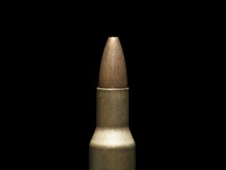 EU-Staaten stimmen für Teilverbot von Bleimunition für die Jagd