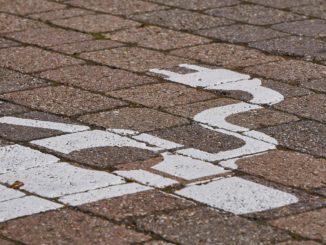 Deutschland treibt Europas Batterie- und Speicherentwicklung an