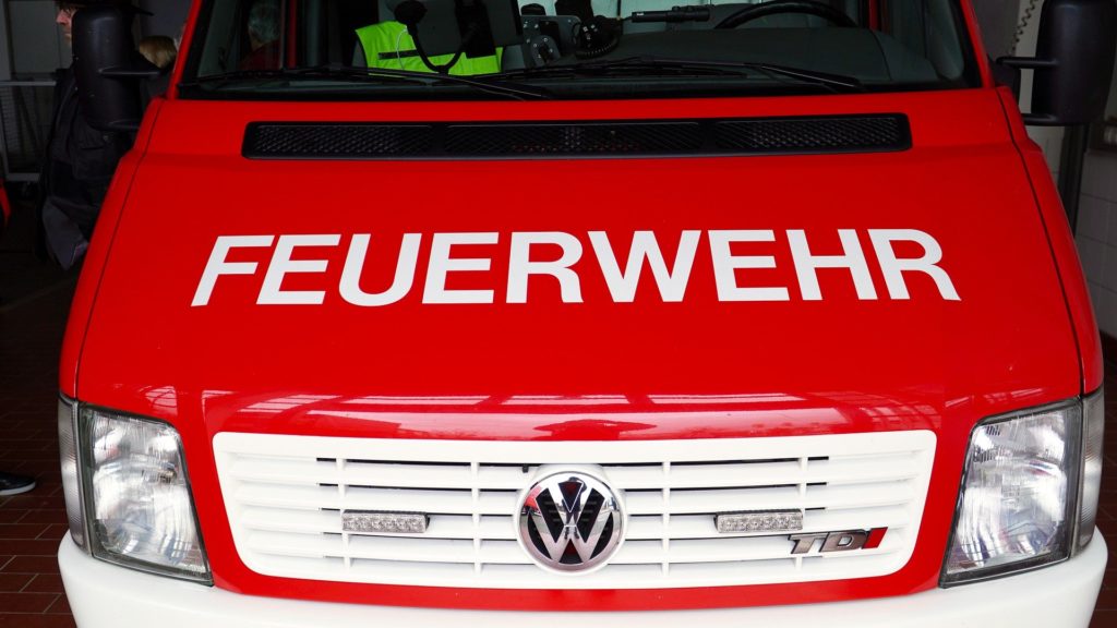 Feuerwehr befreit erschöpftes Fuchsbaby aus Garten in Düsseldorf