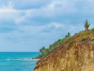 Gericht stoppt Aufhebung von Naturschutzregeln für brasilianische Atlantikküste
