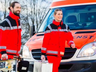 Fünf Verletzte nach Ausweichmanöver wegen kleinen Wildtiers