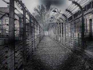 Verurteilter Holocaust-Leugner Mahler aus Haft entlassen