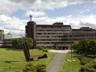 Verfassungsschutz sieht zunehmende Radikalisierung der AfD