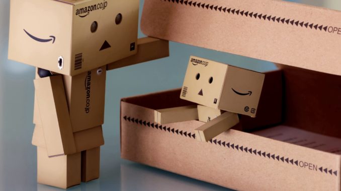 Symbolbild: Amazon - Bild: paolo_cristaldi via Twenty20