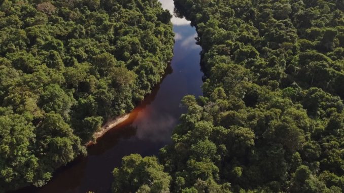 Zahl Der Waldbrande Im Amazonas Regenwald In Brasilien Erneut Stark Gestiegen Nurnberger Blatt