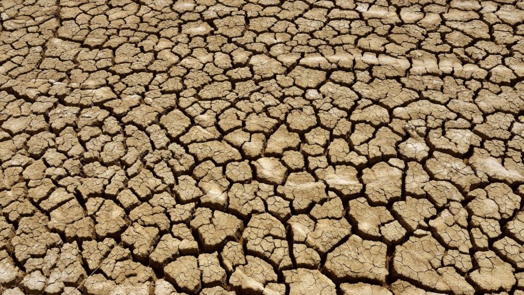 Meteorologen: Zum dritten Mal in Folge staubtrockene Böden im Sommer