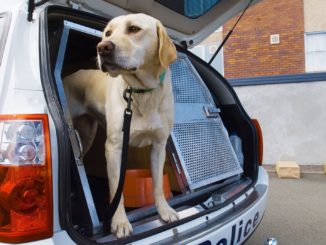 Ein Ort zur Ausbildung von exzellenten Schnüfflern