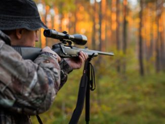 Interesse am Jagdschein wächst deutlich