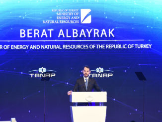 Erdogans Schwiegersohn tritt als Finanzminister der Türkei zurück