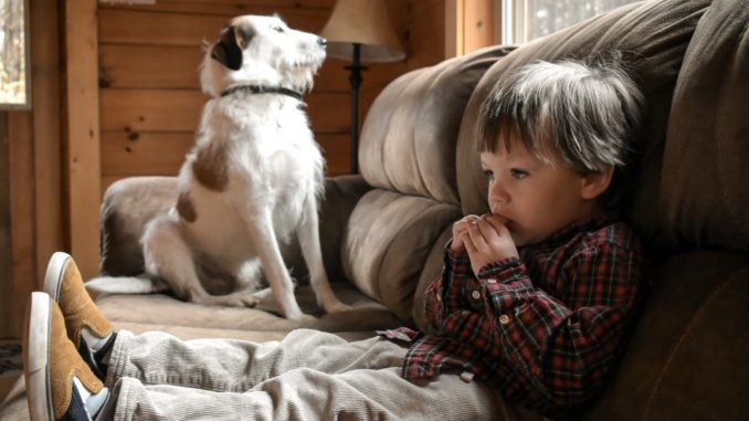 Kind und Hund auf dem Sofa - Bild: midwestphotographs via Twenty20