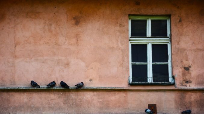 Symbolbild: Frauenhaus