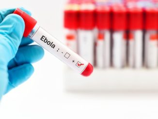 Regierung erklärt Ebola-Epidemie in Republik Kongo für beendet