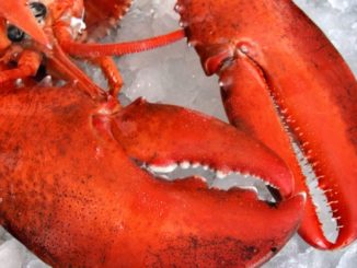 „Hummer“-Handelsdeal der EU mit USA endgültig beschlossen