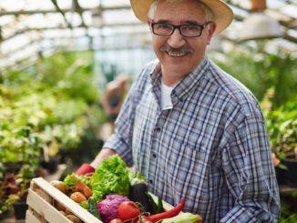 Bauern fordern von Lebensmittelhandel höhere Bezahlung und mehr Wertschätzung