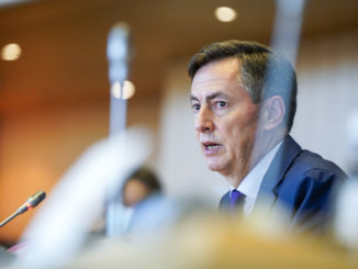 McAllister: Handel mit Großbritannien wird künftig weniger reibungslos laufen