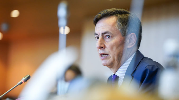 David McAllister - Bild: Daina Le Lardic/EP