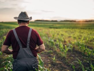BUND: Zukunftskommission Landwirtschaft muss bei Ausgestaltung von Agrarförderung gehört werden