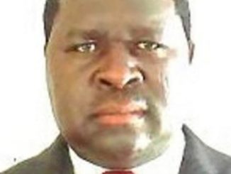 Lokalpolitiker namens Adolf Hitler in Namibia gewählt