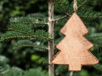 Beim Weihnachtsbaumkauf spielt auch die Umwelt eine Rolle
