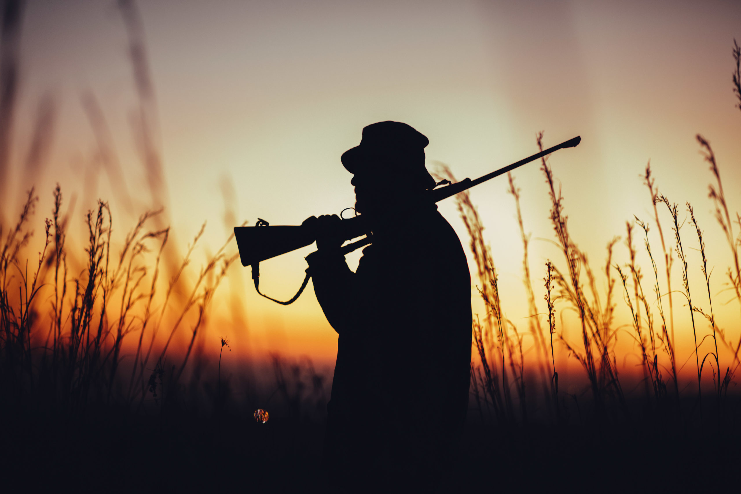 Zahl der Jäger in Deutschland deutlich gestiegen! ⋆ Nürnberger Blatt