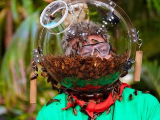 Ich bin ein Star – Die große Dschungelshow: Die Prüfung der 3. Folge: „Tierisch abgedreht“