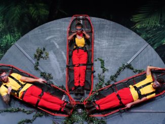 Ich bin ein Star – Die große Dschungelshow: Prüfung der 8. Folge: „Un-Glücksrad“