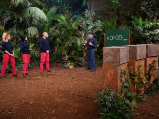 Ich bin ein Star – Die große Dschungelshow: Die Prüfung der 12. Folge: „Qualen mit Zahlen“
