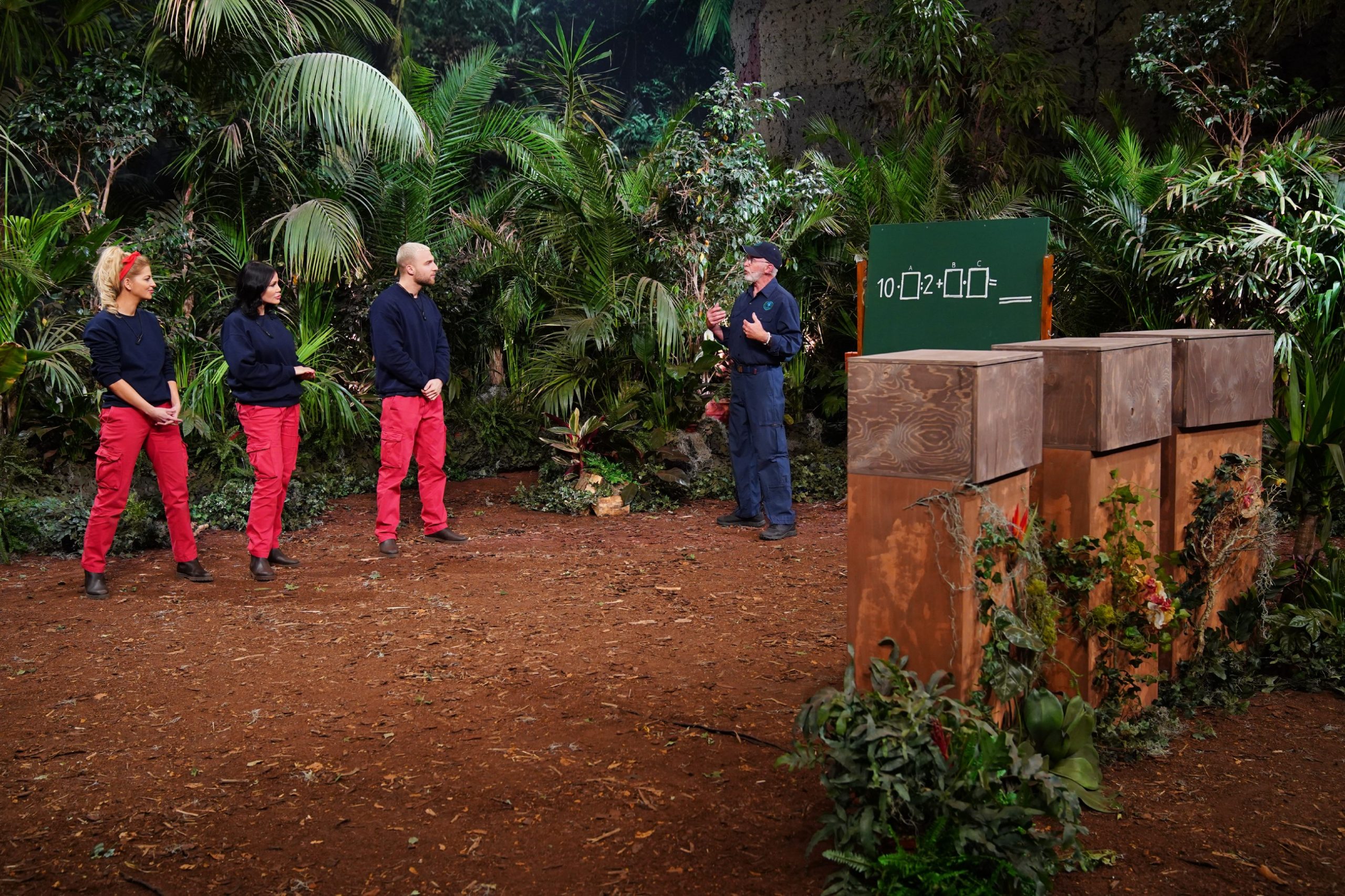 Ich bin ein Star Die große Dschungelshow ⋆ Nürnberger Blatt