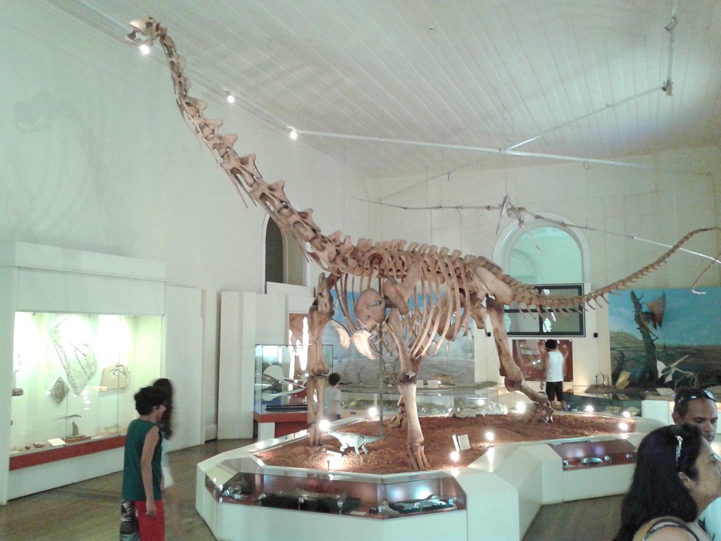 Titanosaurus - Bild: Museu Nacional, CC BY-SA 4.0, via Wikimedia Commons