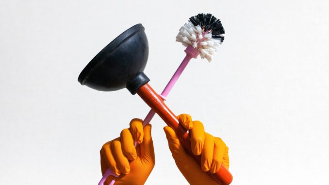 Klobürste und Pömpel - Bild: TaruntaevaTV via Twenty20