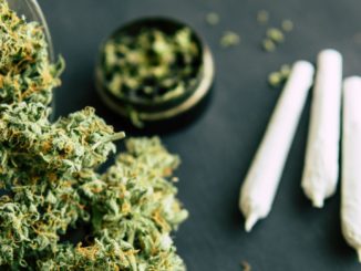 Empörung in Tunesien über Haftstrafe von 30 Jahren wegen Cannabis-Konsums