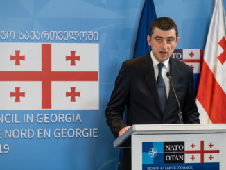 Georgiens Regierungschef tritt im Streit um Oppositionschef zurück