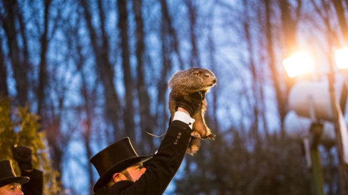 Punxsutawney Phil - Bild: Chris Flook, CC BY-SA 4.0, via Wikimedia Commons