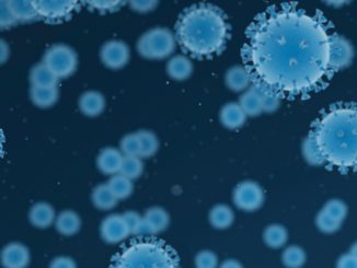 Vogelgrippe auf Mensch übertragen – Sieben Infizierte in Geflügelfabrik