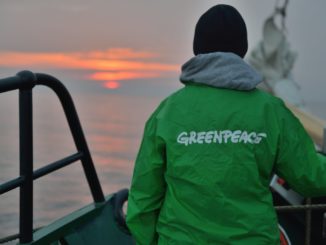 Greenpeace steigt aus Zukunftskommission Landwirtschaft aus