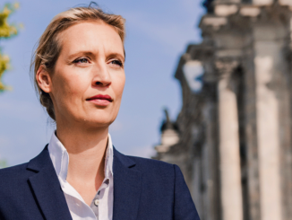 AfD will Kanzlerkandidat aufstellen