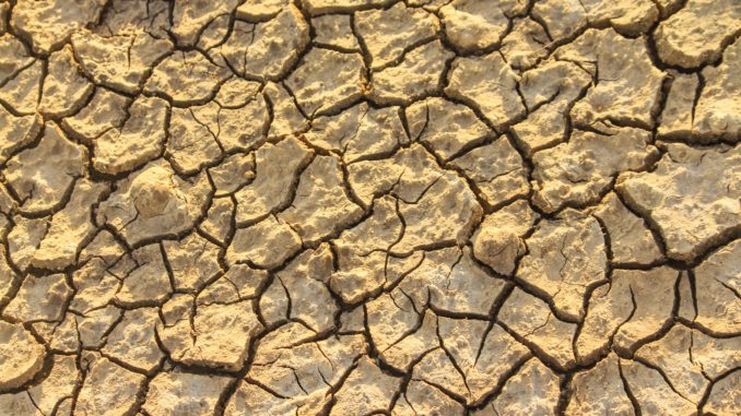Dürre - Bild: dovscollection via Twenty20